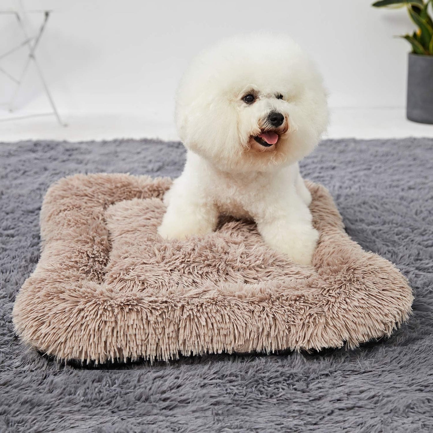 Puppy Bed for Small Dogs, Washable Crate Bed Cushion, 24 INCH