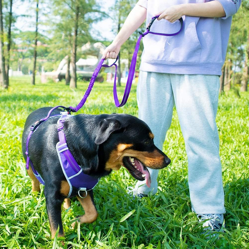 No-Pull Dog Harness and Leash Set - Reflective Front Clip Vest with 5 Ft Dual Handle Bungee Leash - Purple
