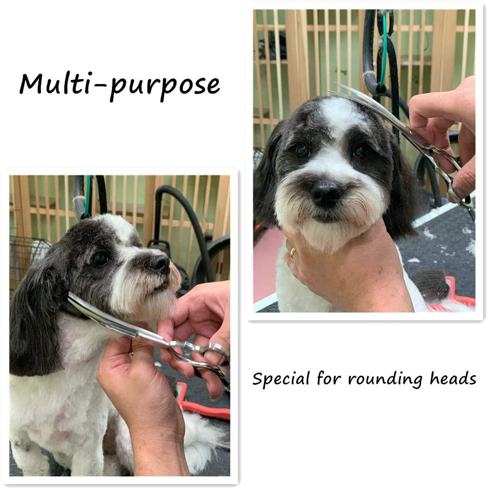 Dog Scissors for Grooming, Curved Dog Grooming Scissors with Safety round Tips, 6.5 Inch, Curved Blade, Light Weight, No Stabbing with Blunt Tip.