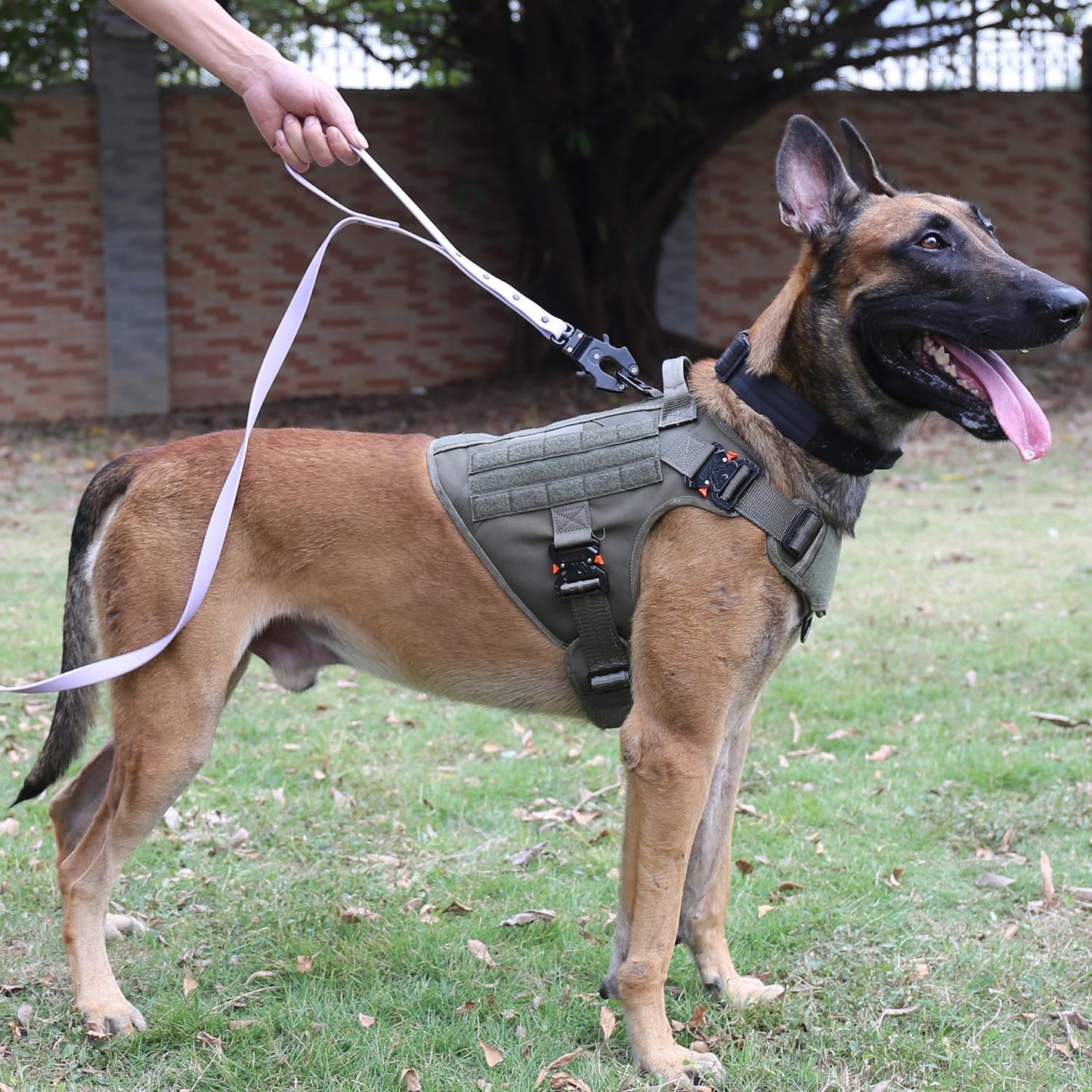 Durable Tactical Dog Harness with 4X Metal Buckle | No Pull Front Clip & MOLLE K9 Vest | Adjustable Harness for Large Dogs (L, 28"-35" Chest) - Green