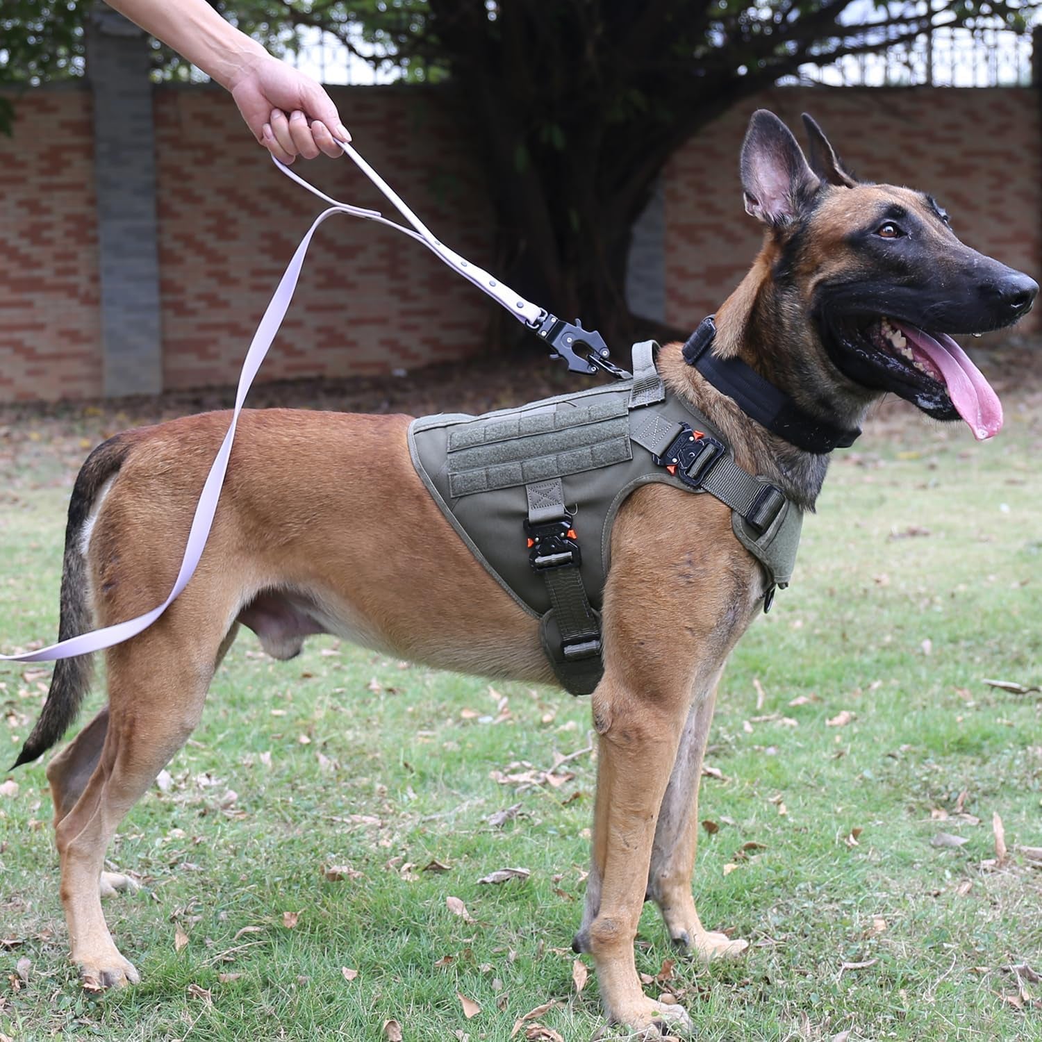 Durable Tactical Dog Harness with 4X Metal Buckle | No Pull Front Clip & MOLLE K9 Vest | Adjustable Harness for Large Dogs (L, 28"-35" Chest) - Green