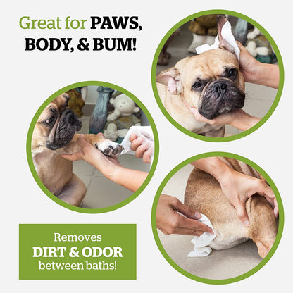 Pogi’S Dog Wipes Travel Packs – Hypoallergenic Pet Wipes for Paws, Body & Butt – Cleaning & Hydrating, Green Tea Scent, 240-Count