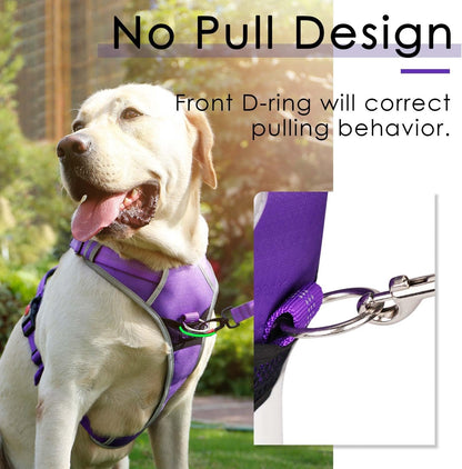 No-Pull Dog Harness and Leash Set - Reflective Front Clip Vest with 5 Ft Dual Handle Bungee Leash - Purple