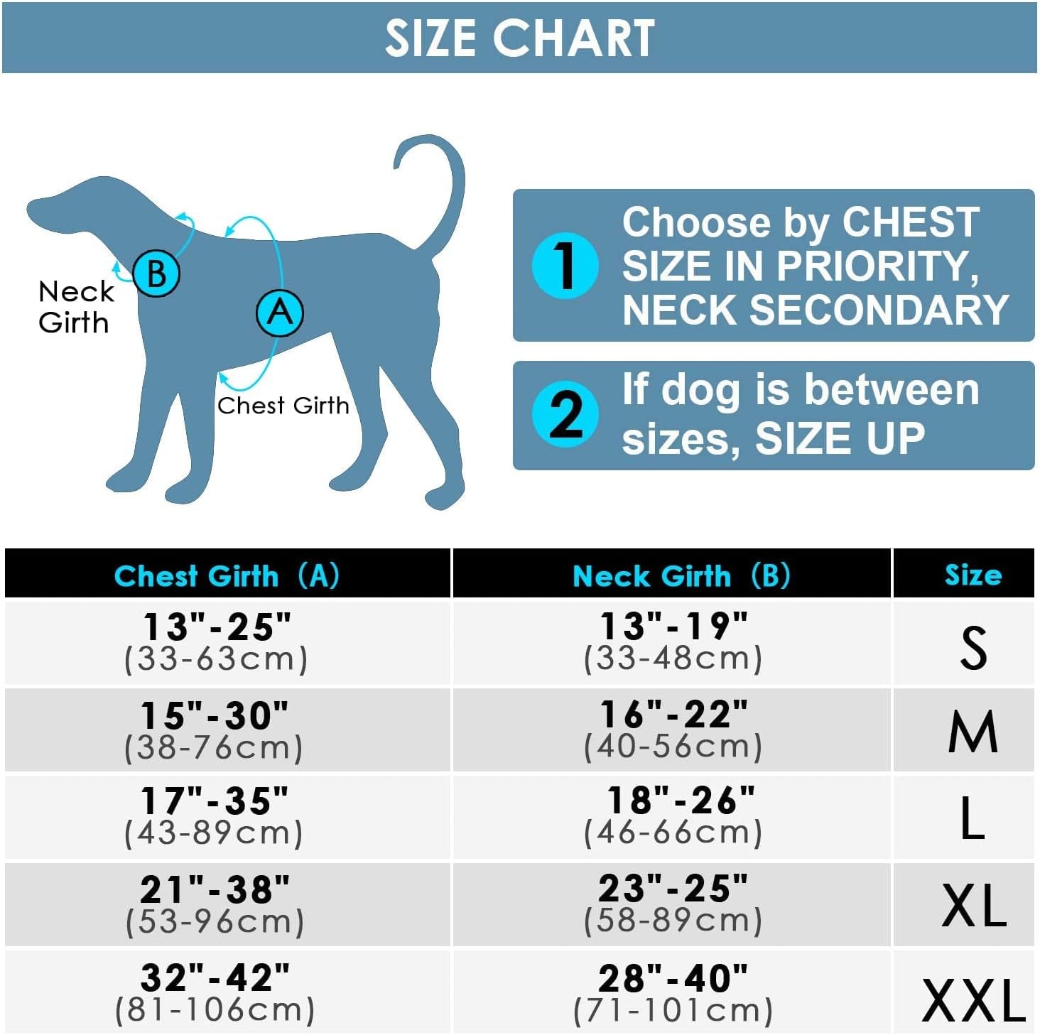 No-Pull Dog Harness and Leash Set - Reflective Front Clip Vest with 5 Ft Dual Handle Bungee Leash - Purple