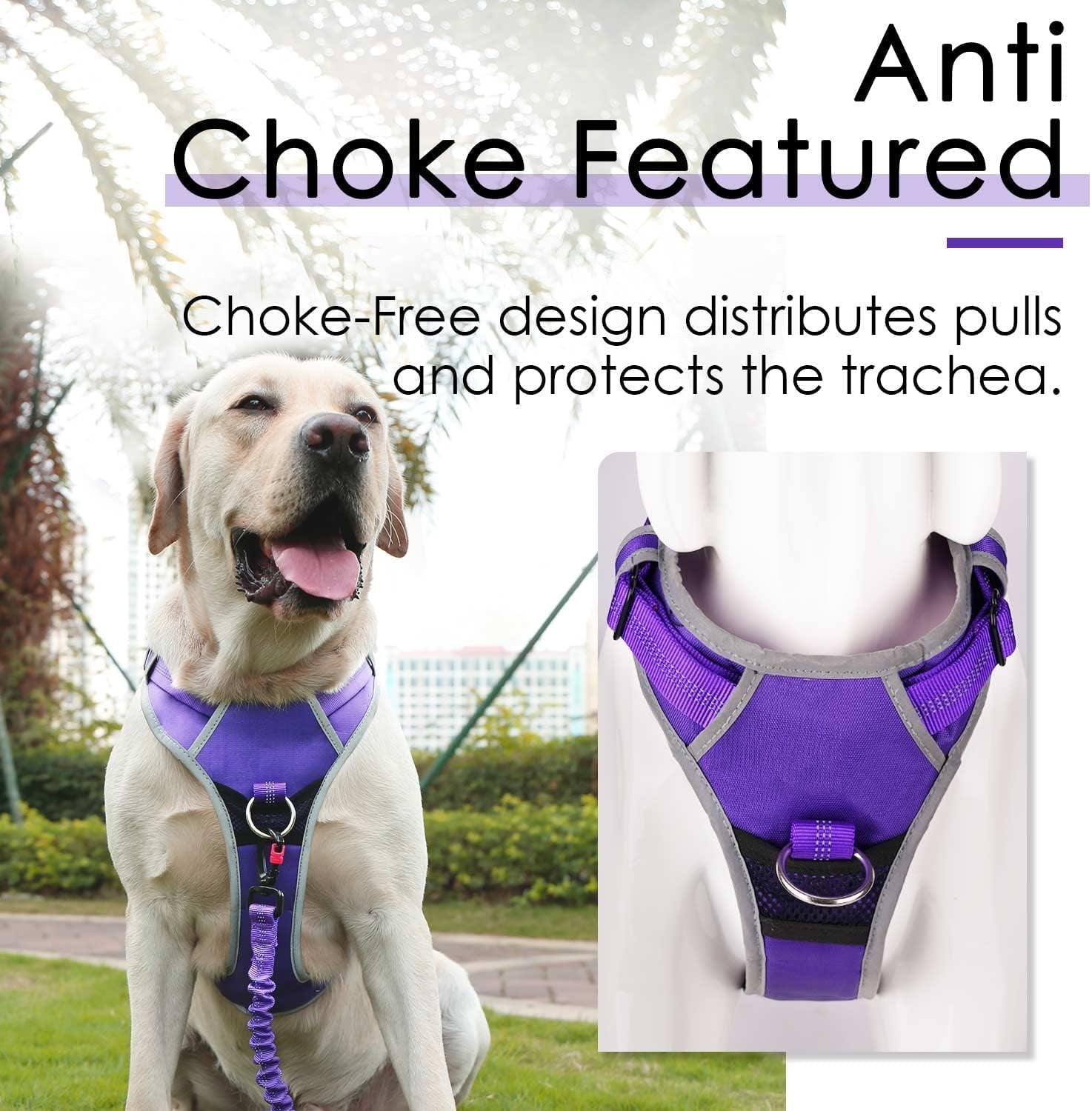 No-Pull Dog Harness and Leash Set - Reflective Front Clip Vest with 5 Ft Dual Handle Bungee Leash - Purple