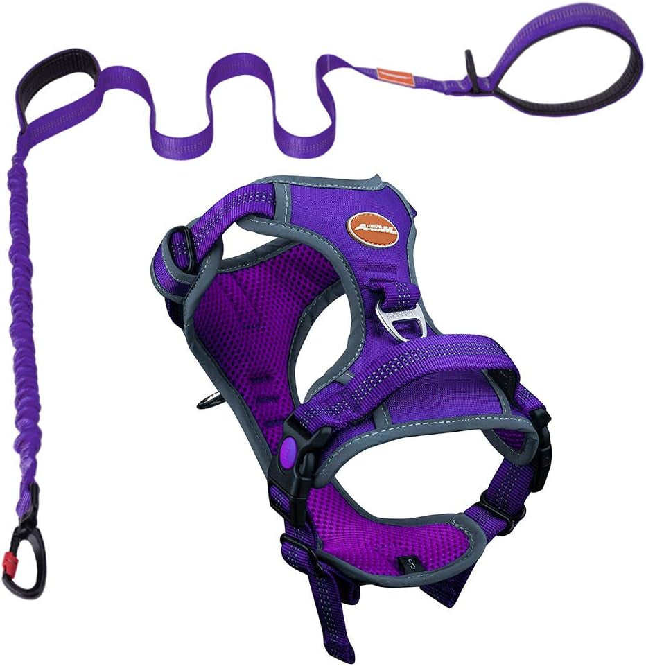 No-Pull Dog Harness and Leash Set - Reflective Front Clip Vest with 5 Ft Dual Handle Bungee Leash - Purple