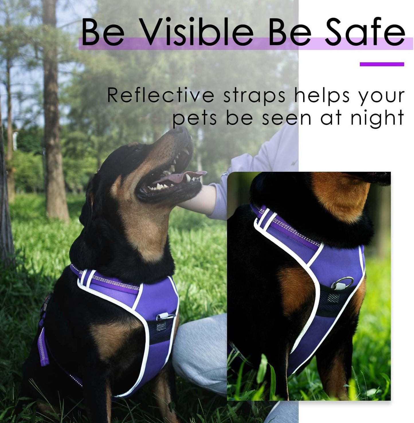 No-Pull Dog Harness and Leash Set - Reflective Front Clip Vest with 5 Ft Dual Handle Bungee Leash - Purple