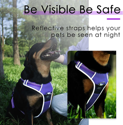 No-Pull Dog Harness and Leash Set - Reflective Front Clip Vest with 5 Ft Dual Handle Bungee Leash - Purple